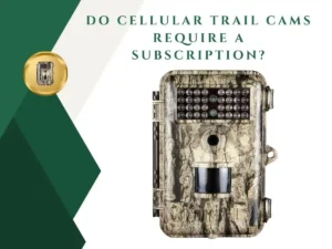 Do Cellular Trail Cams Require a Subscription