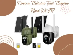 Does a Cellular Trail Camera Need Wi-Fi