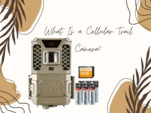 What Is a Cellular Trail Camera