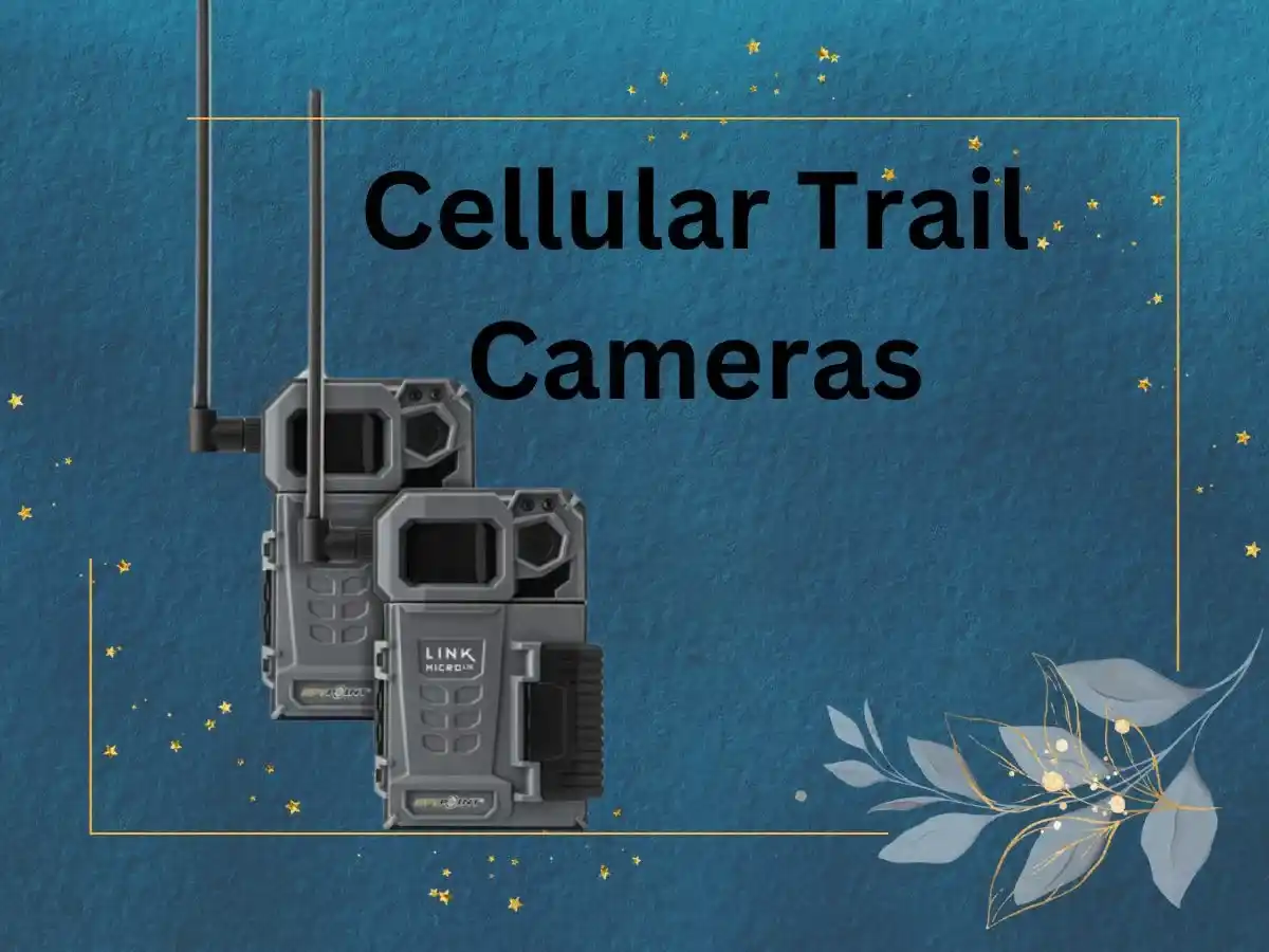 How Do Cellular Trail Cameras Work?